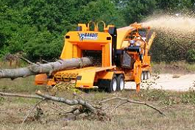tree clearance leeds